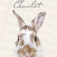Chocolat様