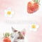 Datemasamune様