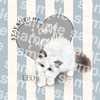 Leo様