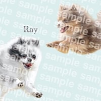ray様