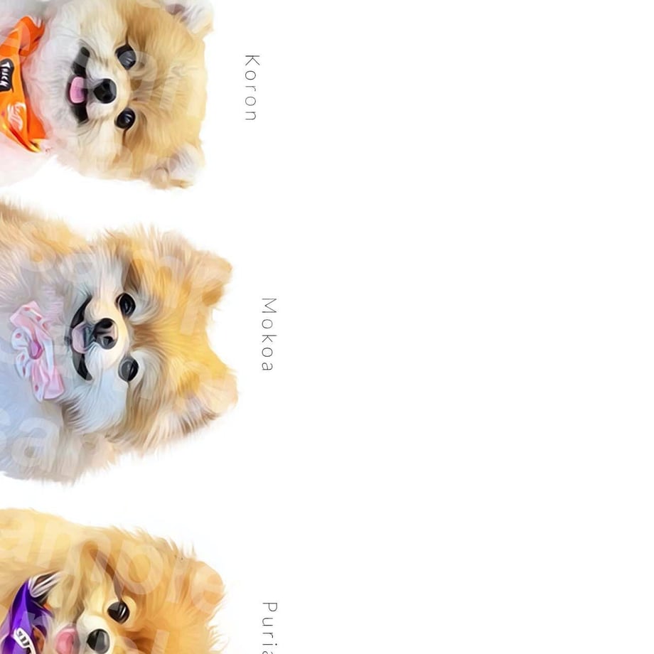 6352b85ff80f1e442a846b33
