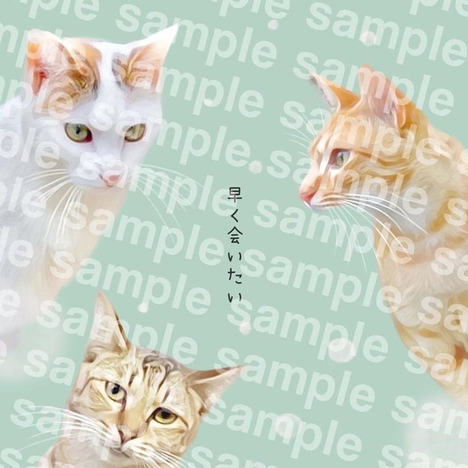 6584f2eeef91a70050bae8b1