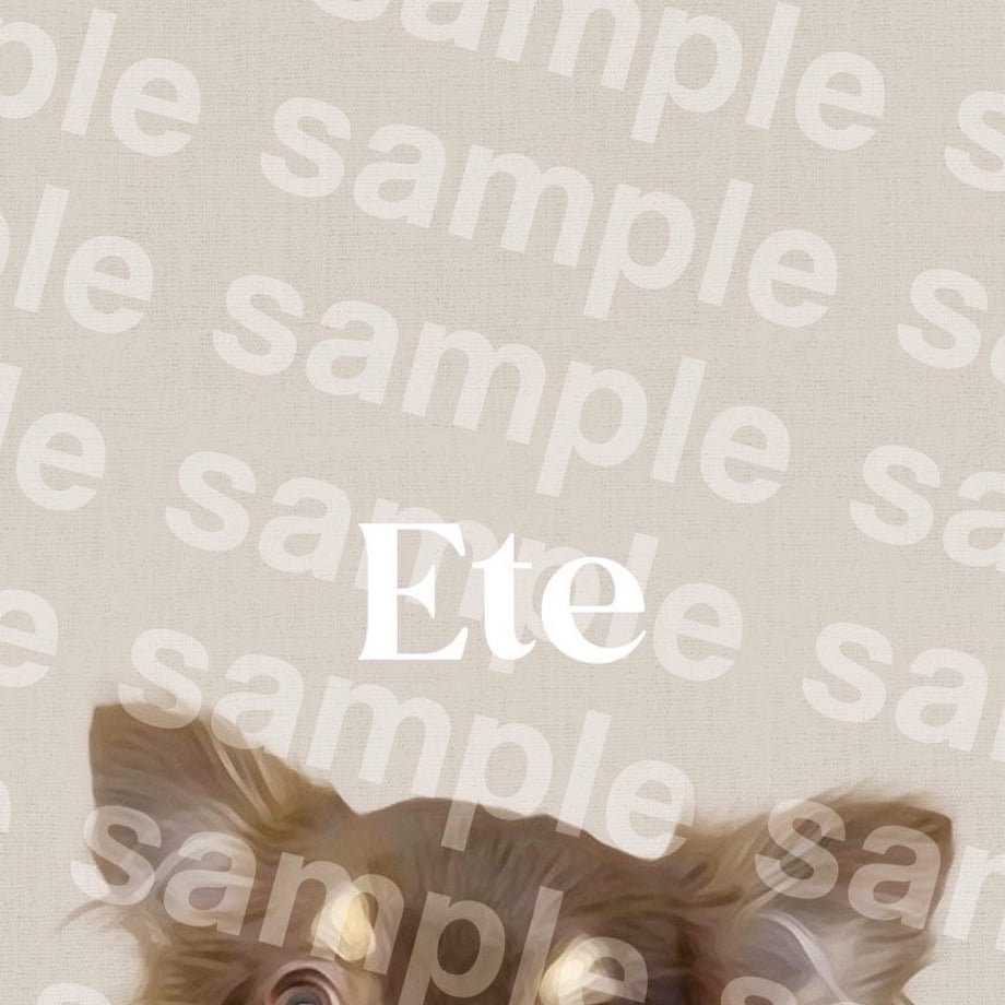 6743ef0fb8d72e0512946ee4