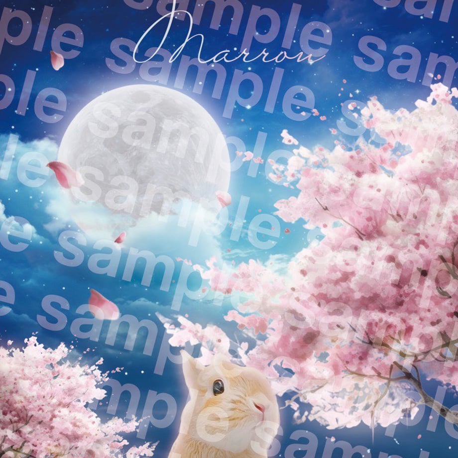65fec039b776cf2adf53580c