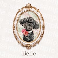 belle様