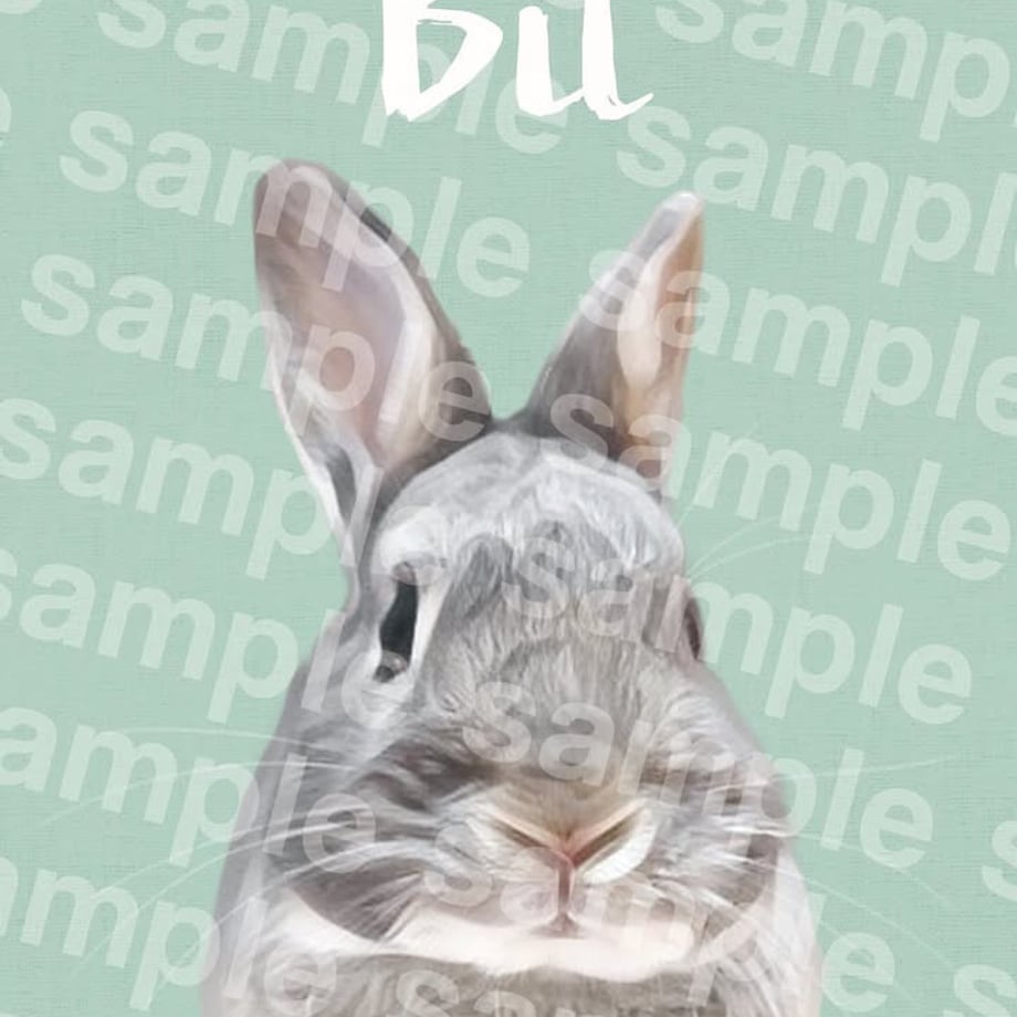 67654c71ebcaaf033e1e5584