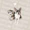 loulou Momo 様