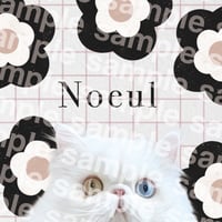 noeul様