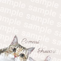 Comari様