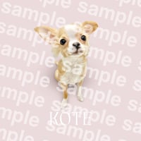 Kote様