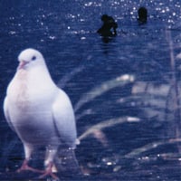 【CD】青柳拓次 "輝板 (きばん)"
