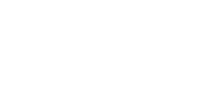MIYAZAKI PHOENIX BREWING