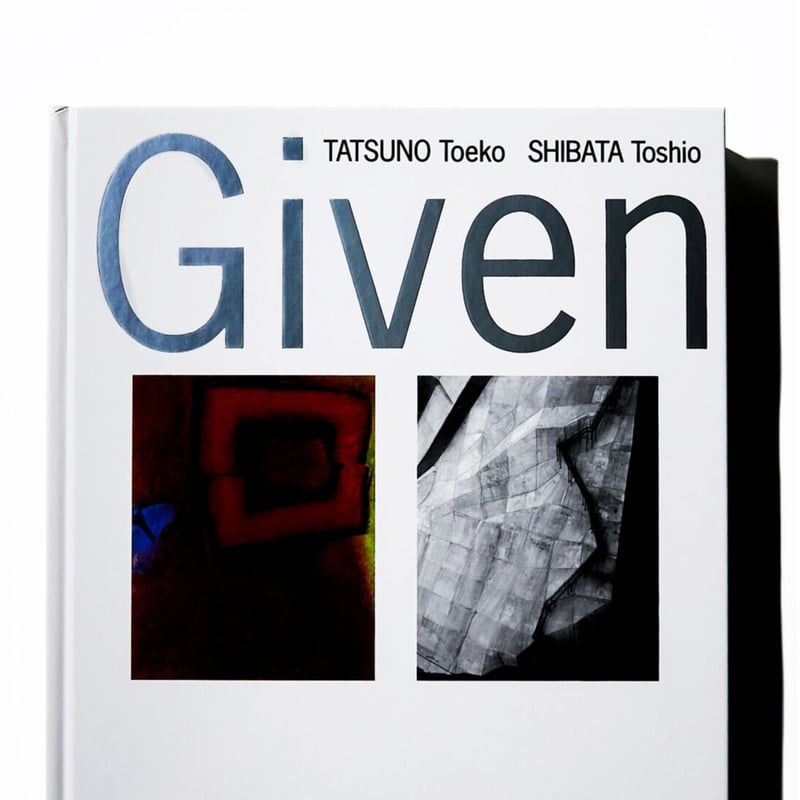 希少！オイヴァ・トイッカ 1995年　美術館資料 国立新美術館 自主企画展 図録 与えられた形象―辰野登恵子／柴田
