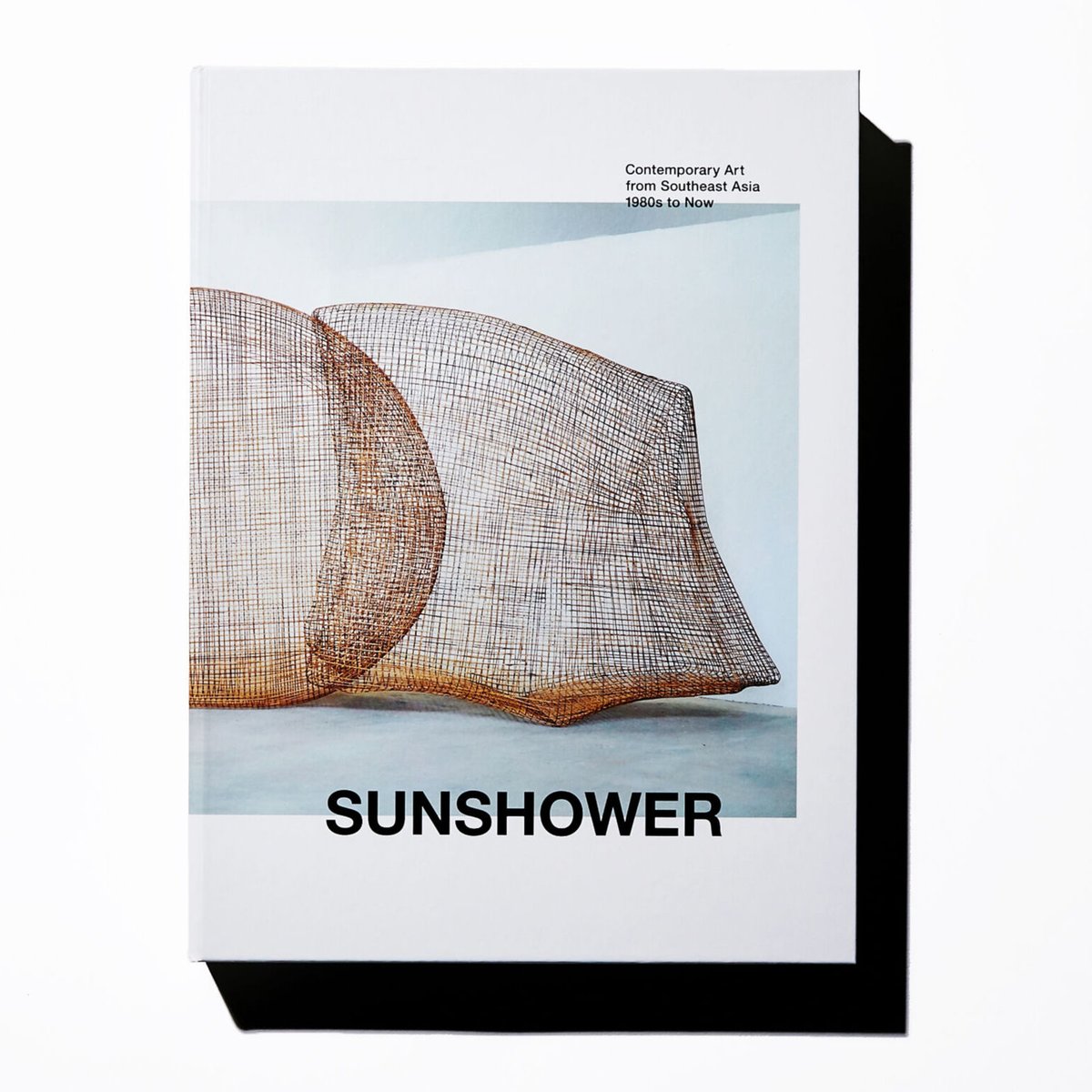 国立新美術館 自主企画展 図録 サンシャワー：東南アジアの現代美術展