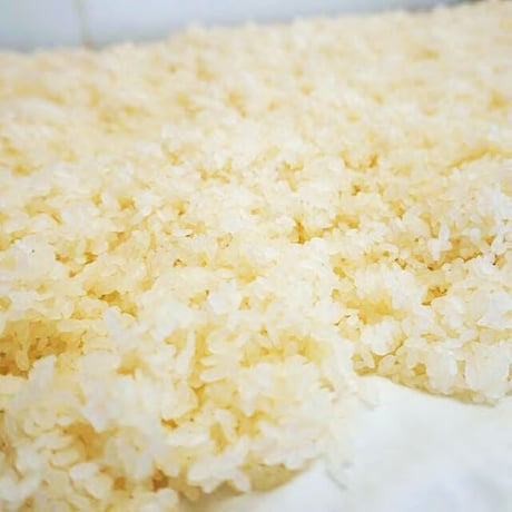 豆乳あまざけ３本セット【550ｇ×３本（クール冷凍便)】