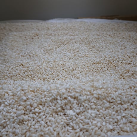 【あまざけらぼの定期便】5分づき米甘酒550g×６本  クール冷凍便