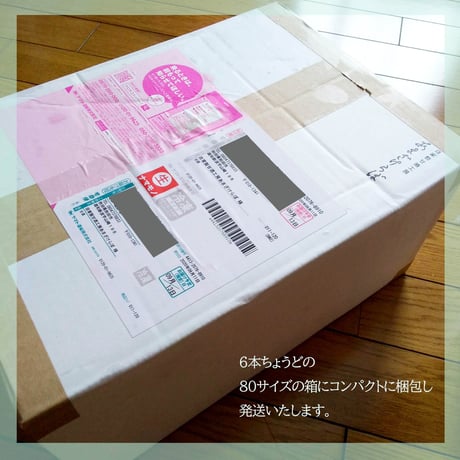 あまざけ２種６本セット【白米550ｇ×３　豆乳550ｇ×３（クール冷凍便） 計6本】