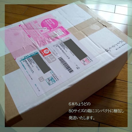 豆乳あまざけ６本セット　【550ｇ×６本（クール便）】