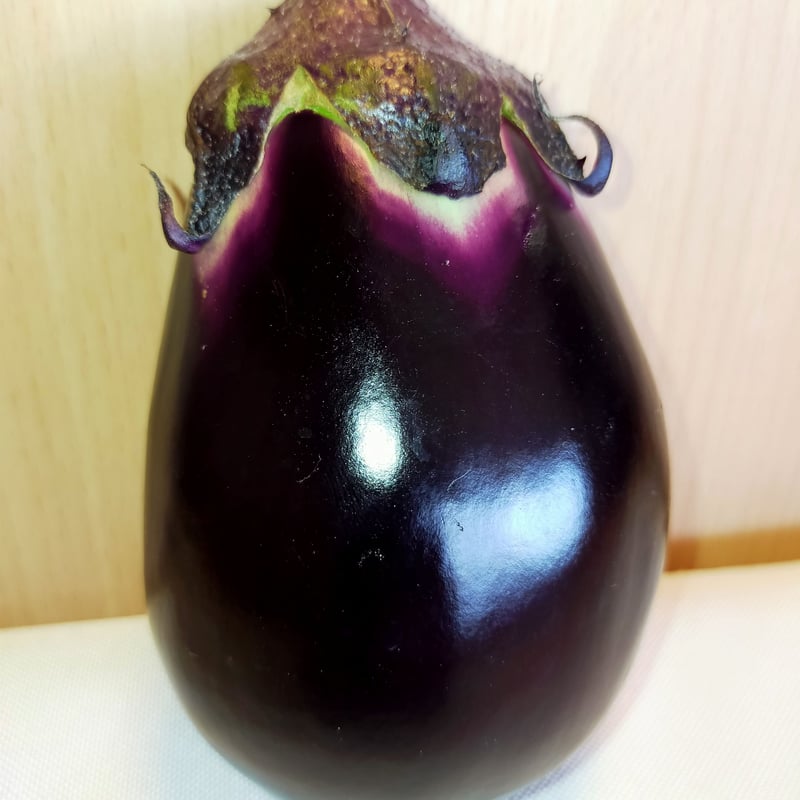 特撰生なすセット | 富士鷹