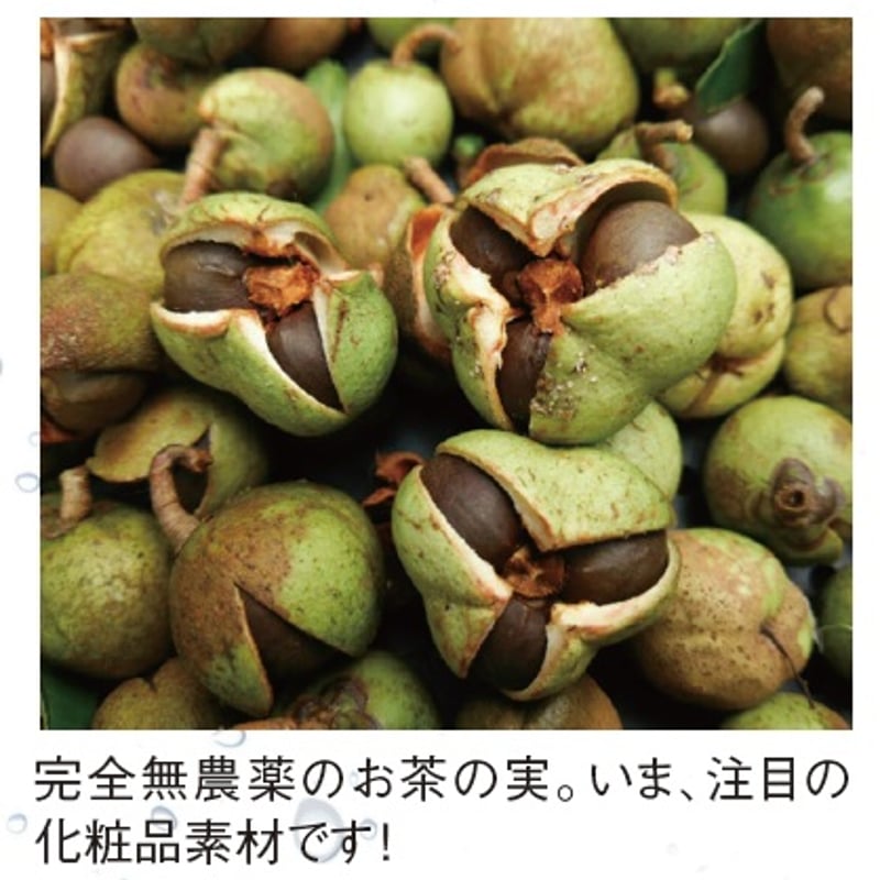 月のしずく石けんシャンプーEX 500mL | ゆの里「月のしずく」STORE