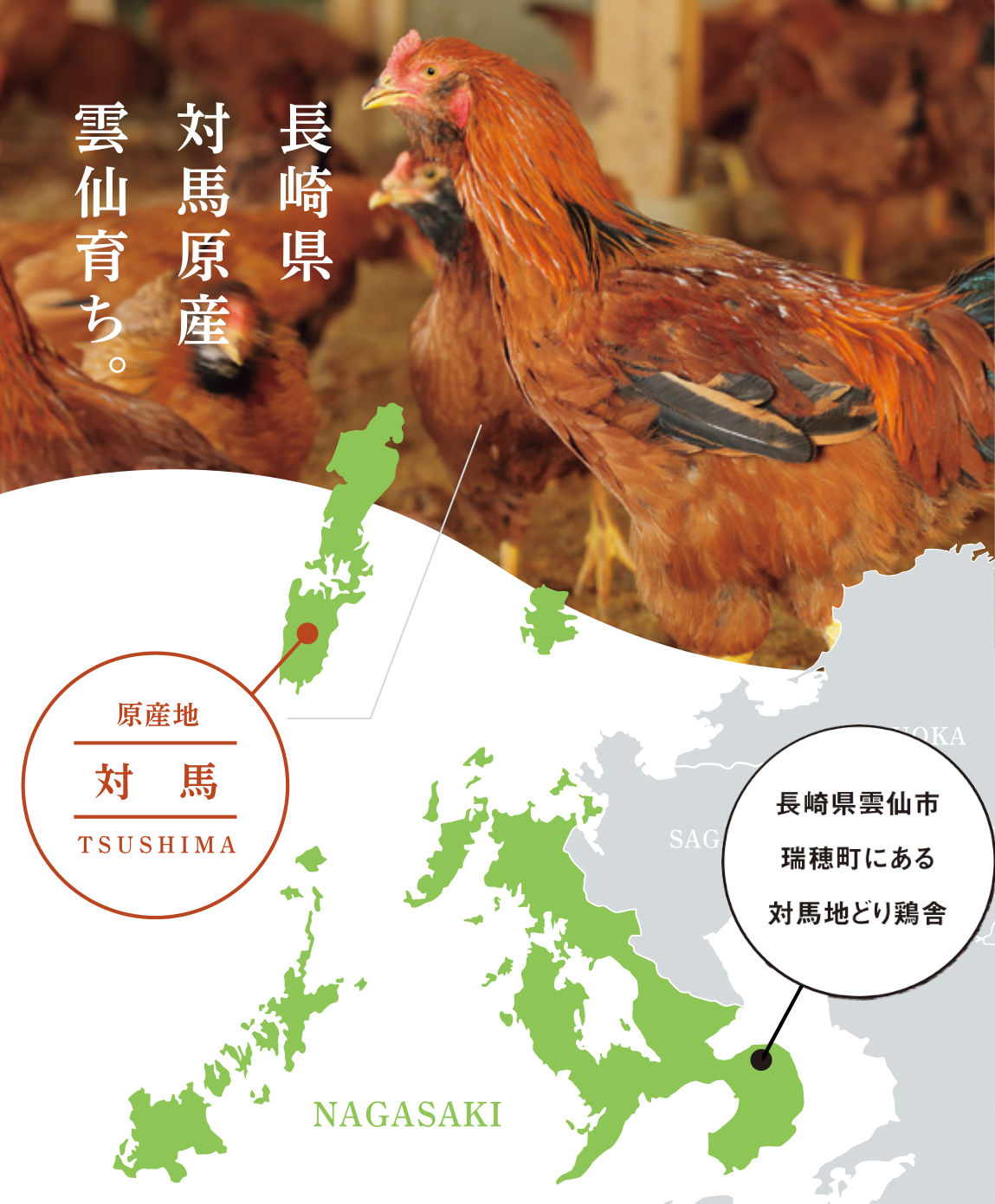 鶏と人 長崎対馬地どり【一羽セット】モモ・ムネ・ササミ・手羽先・手羽