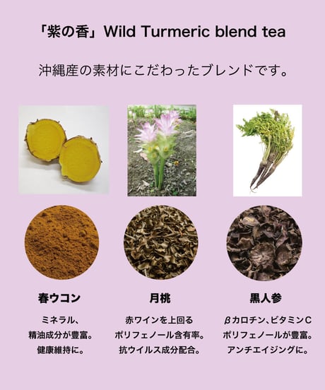 ウコン琉球ブレンド茶（ティーバック20個入）『紫の香り』Wild Turmeric blend tea