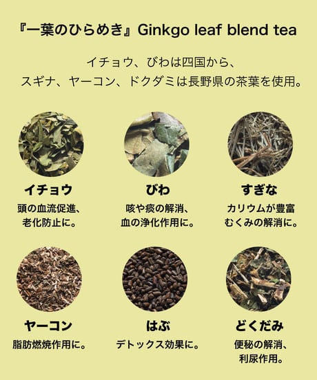 イチョウのブレンド茶（ティーバック20個入）『一葉のひらめき』Ginkgo leaf blend tea