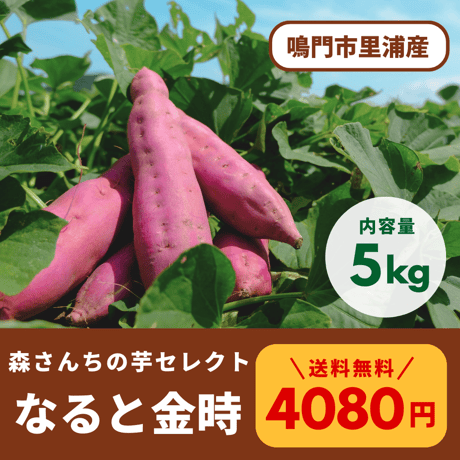 販売中の商品 | 本場里浦産 なると金時 森さんちの芋