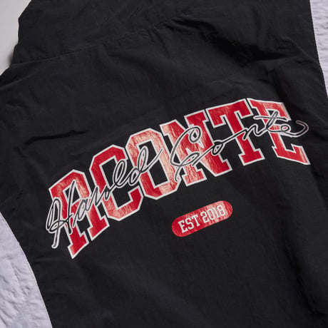RC-044 / WINDBREAKER