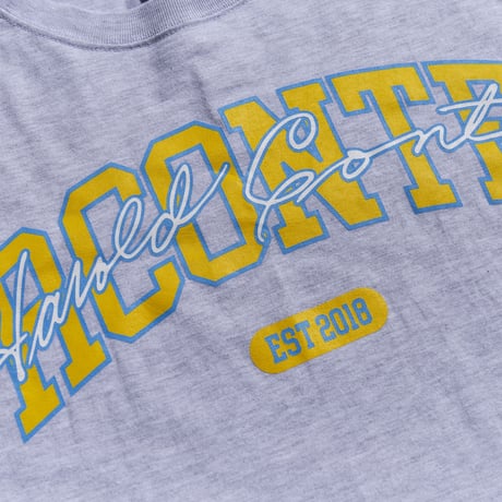 RC-051 / Rconte College logo t-shirt