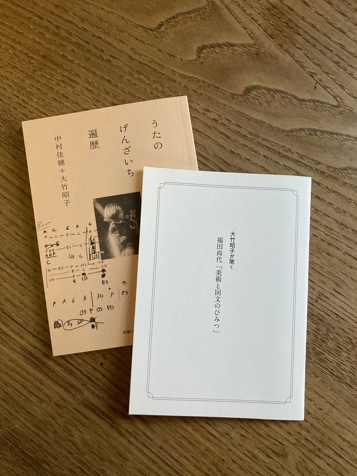 うたのげんざいち遍歴』＋『福田尚代 美術と回文の秘密』2セット