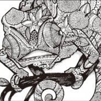 【CD】evolution【カラーボトル】