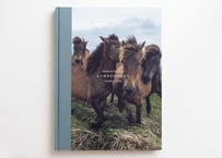 写真集「その背中を風が撫でて-Horses in the wind-」（直筆サイン入り）