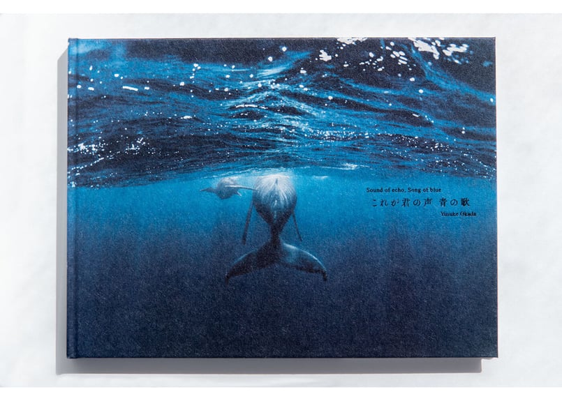 写真集「これが君の声 青の歌 -Sound of echo,Song of blue-」（直