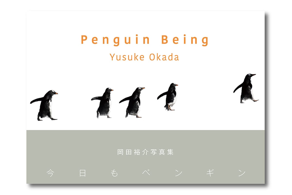 写真集「Penguin Being -今日もペンギン-」（直筆サイン入り 