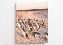 「それは僕らだけの言葉 -Penguins Being Penguins-」（直筆サイン入り）