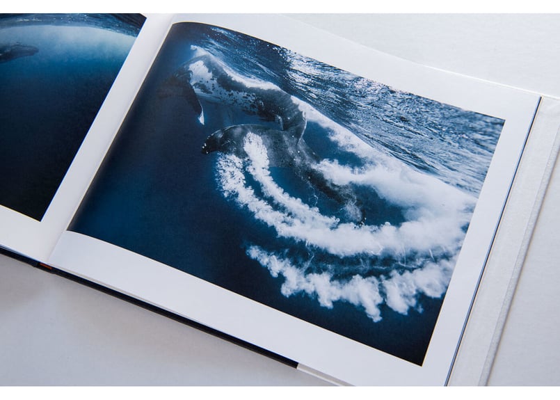 写真集「これが君の声 青の歌 -Sound of echo,Song of blue