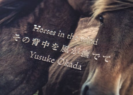 写真集「その背中を風が撫でて-Horses in the wind-」（直筆サイン入り）