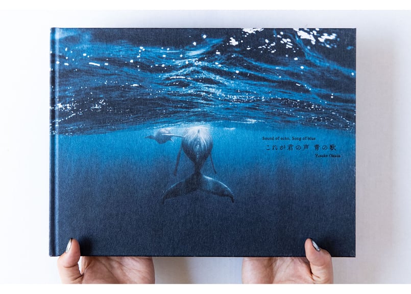 写真集「これが君の声 青の歌 -Sound of echo,Song of blue-」（直