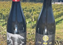赤白ワインセット「心」「御堂」