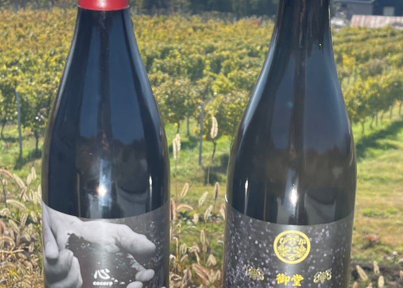 2022＆2023 SOLARIS 赤白ワインセット 750ml