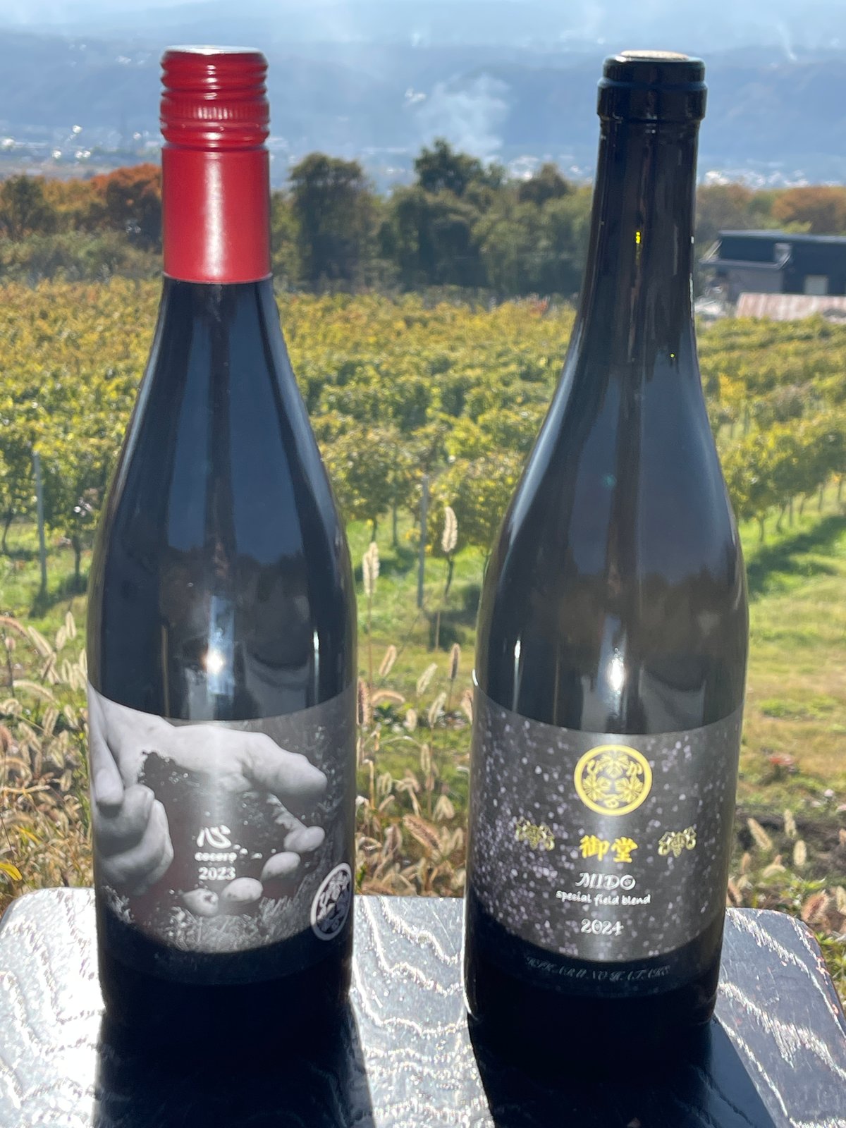 ワインディングセット