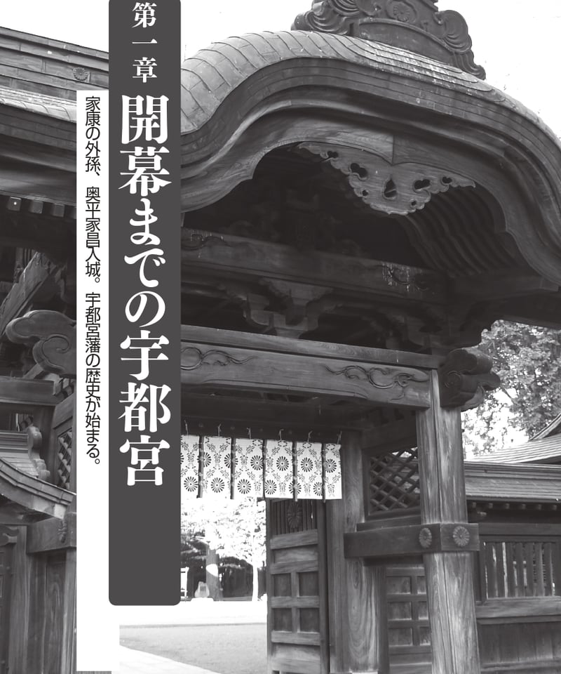 宇都宮藩・高徳藩【シリーズ藩物語】 | 現代書館ウェブショップ