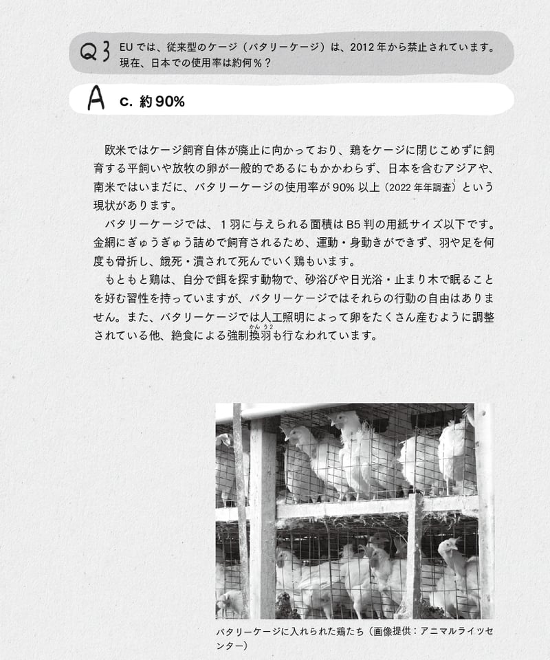 あなたと考えたい動物たちと社会のこと | 現代書館ウェブショップ
