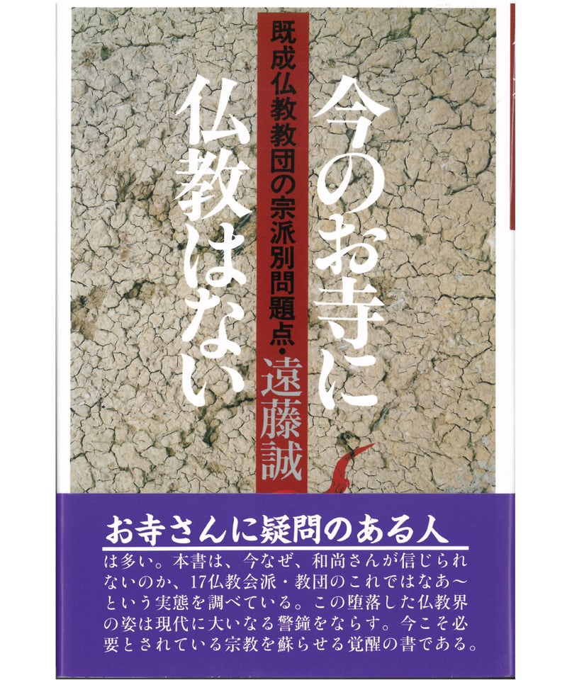 今のお寺に仏教はない：既成仏教教団の宗派別問題点 | 現代書館ウェブ