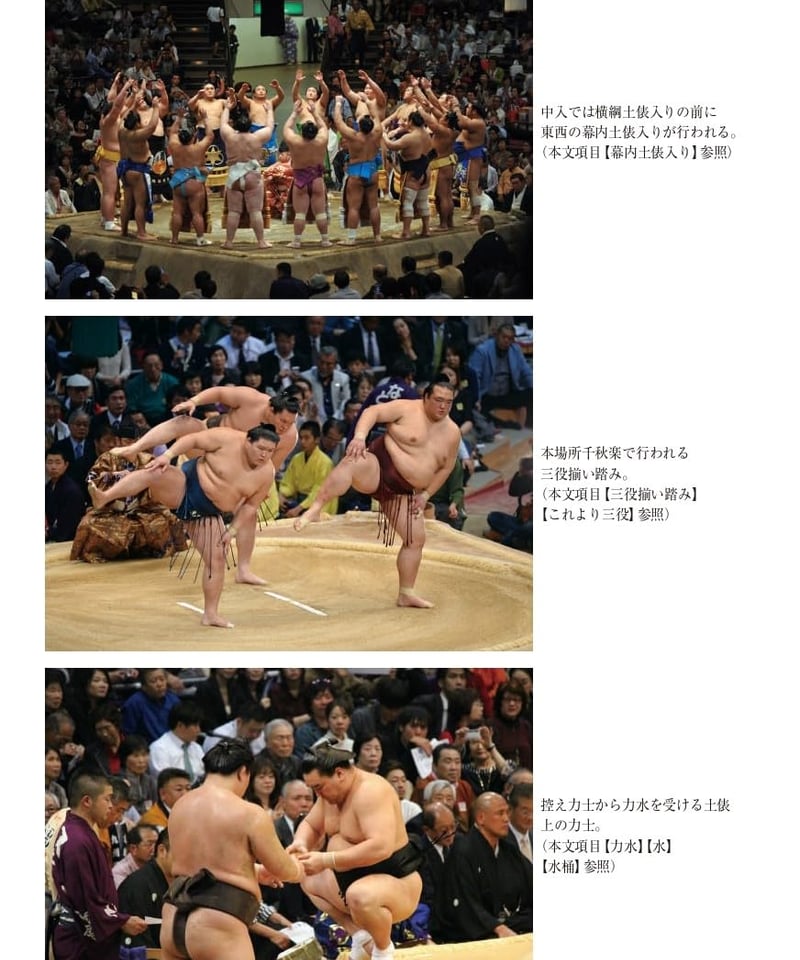 相撲大事典 第四版 | 現代書館ウェブショップ