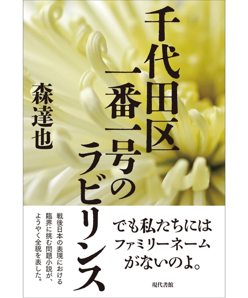 千代田区 ２０１９０８/ゼンリン（単行本） 千代田区一番一号のラビリンス | 現代書館ウェブショップ