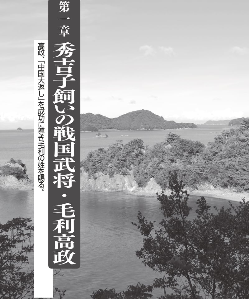 シリーズ藩物語 44冊セット 宇和島藩 佐伯藩 佐賀藩 土佐藩 沼津藩 吉田藩 佐伯藩【シリーズ藩物語】 | 現代書館ウェブショップ