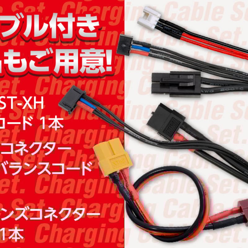Multi Charger X2 AC PLUS 200 ［ マルチチャージャー X2 ACプ
