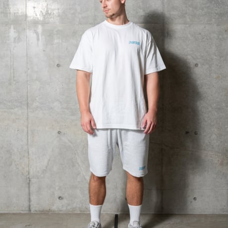 DESTAR PRINTED LOGO Shorts (ASH GRAY)